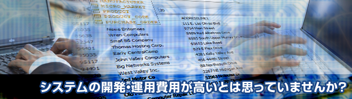 システムの開発・運用費用が高いとは思っていませんか?