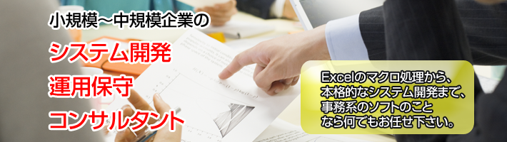 小規模~中規模企業のシステム開発・運用保守・コンサルタント